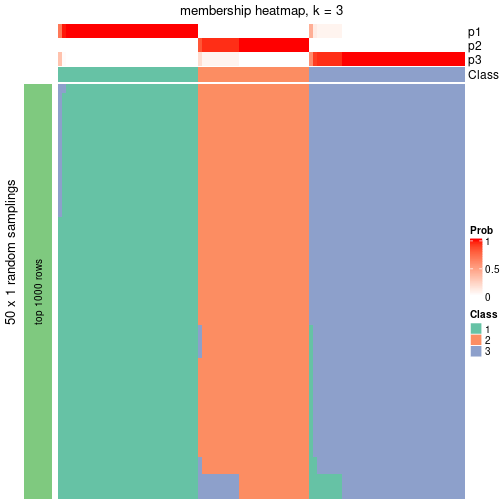 plot of chunk tab-node-04-membership-heatmap-2