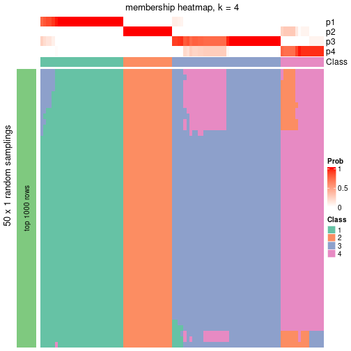 plot of chunk tab-node-04-membership-heatmap-3