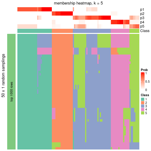 plot of chunk tab-node-04-membership-heatmap-4