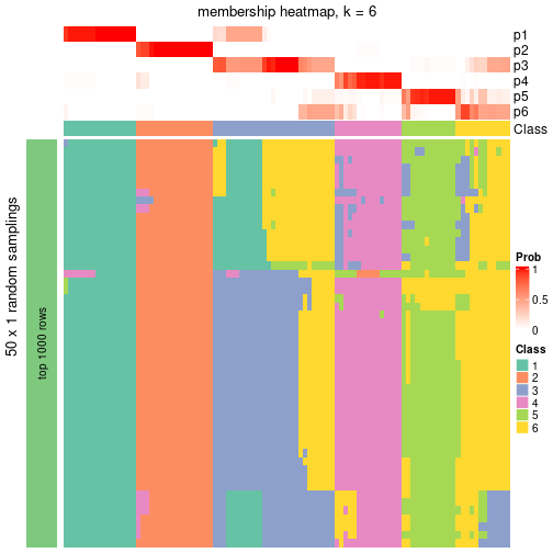 plot of chunk tab-node-04-membership-heatmap-5