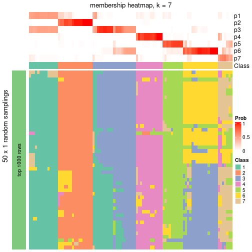 plot of chunk tab-node-04-membership-heatmap-6