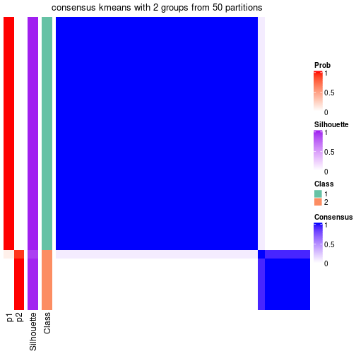 plot of chunk tab-node-041-consensus-heatmap-1