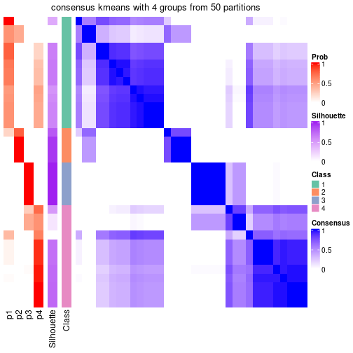 plot of chunk tab-node-041-consensus-heatmap-3