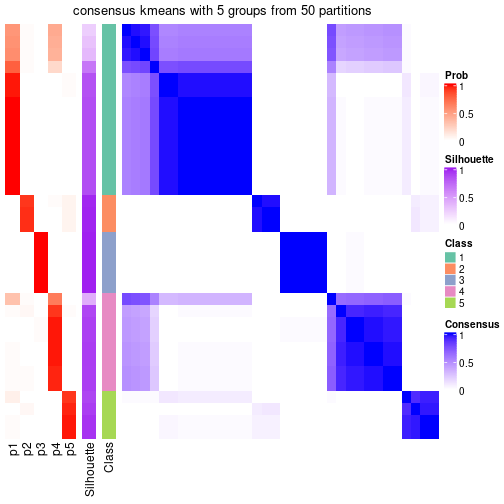 plot of chunk tab-node-041-consensus-heatmap-4