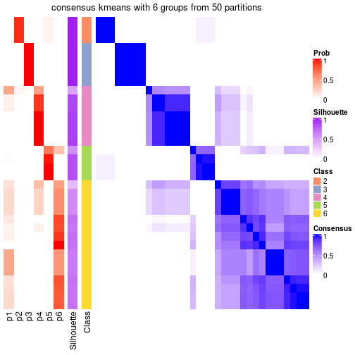 plot of chunk tab-node-041-consensus-heatmap-5