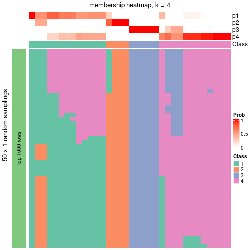 plot of chunk tab-node-041-membership-heatmap-3