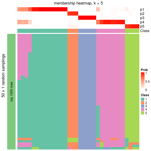 plot of chunk tab-node-041-membership-heatmap-4