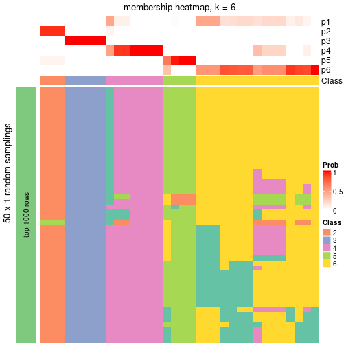 plot of chunk tab-node-041-membership-heatmap-5