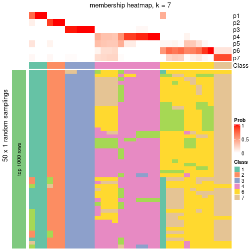 plot of chunk tab-node-041-membership-heatmap-6