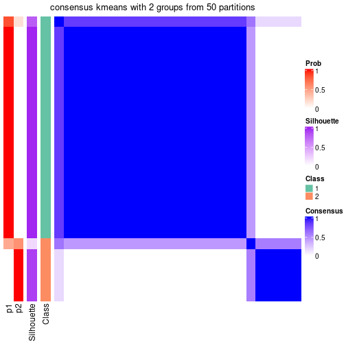 plot of chunk tab-node-0411-consensus-heatmap-1