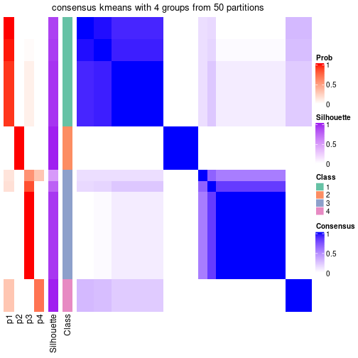 plot of chunk tab-node-0411-consensus-heatmap-3