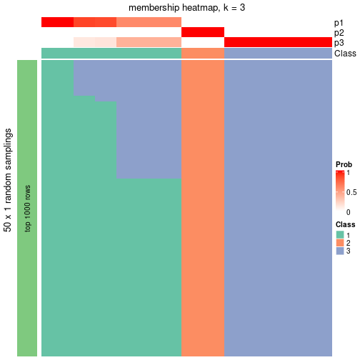 plot of chunk tab-node-0411-membership-heatmap-2