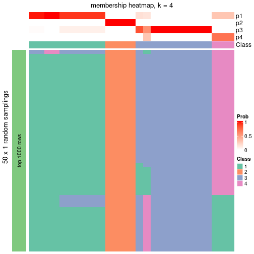 plot of chunk tab-node-0411-membership-heatmap-3