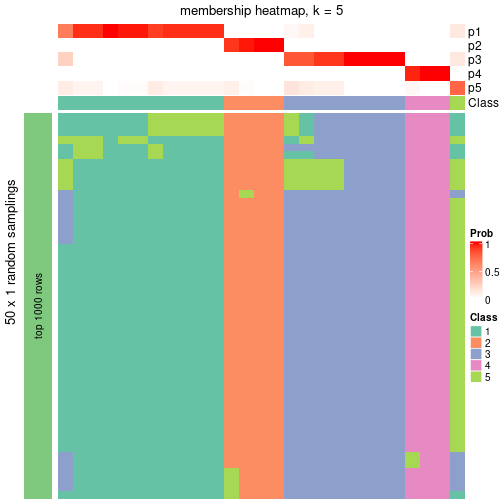 plot of chunk tab-node-0411-membership-heatmap-4