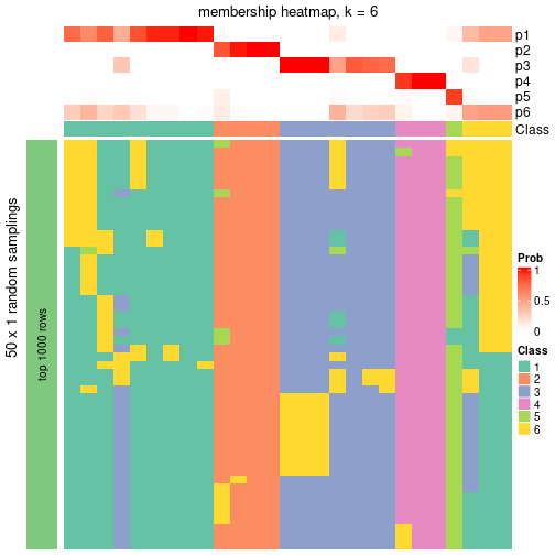 plot of chunk tab-node-0411-membership-heatmap-5