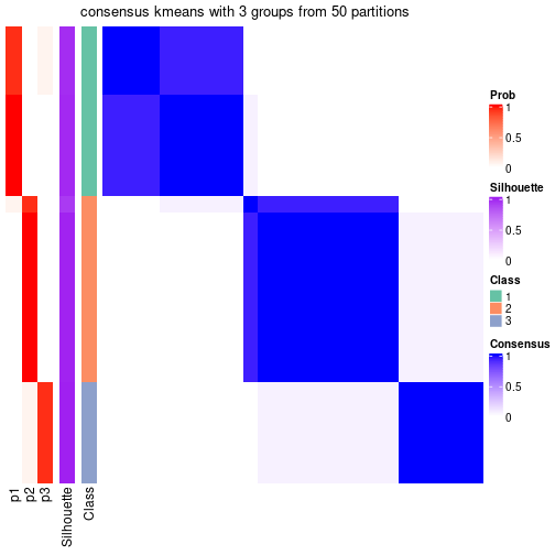 plot of chunk tab-node-042-consensus-heatmap-2