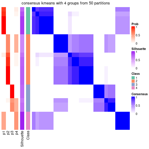 plot of chunk tab-node-042-consensus-heatmap-3