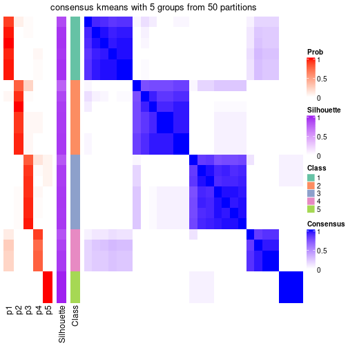 plot of chunk tab-node-042-consensus-heatmap-4