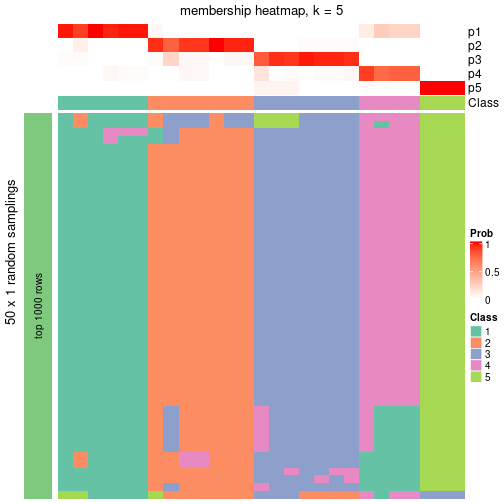 plot of chunk tab-node-042-membership-heatmap-4