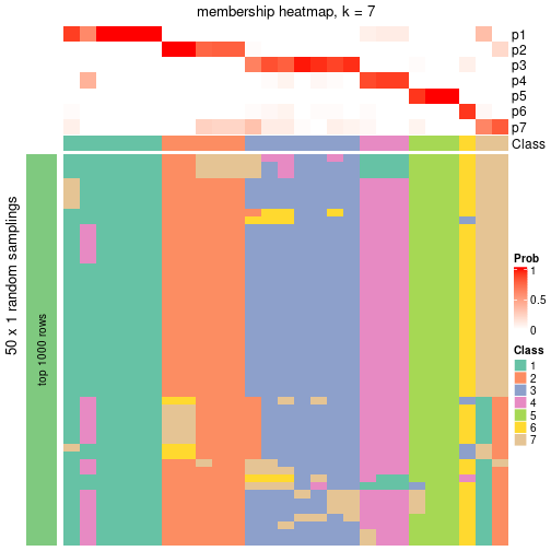 plot of chunk tab-node-042-membership-heatmap-6