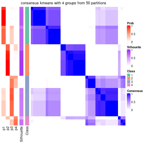 plot of chunk tab-node-043-consensus-heatmap-3