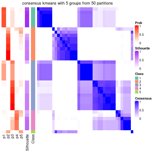 plot of chunk tab-node-043-consensus-heatmap-4