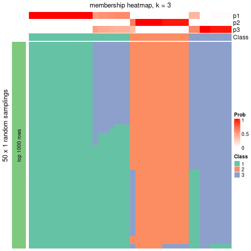 plot of chunk tab-node-043-membership-heatmap-2