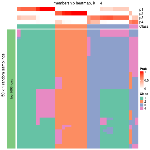 plot of chunk tab-node-043-membership-heatmap-3