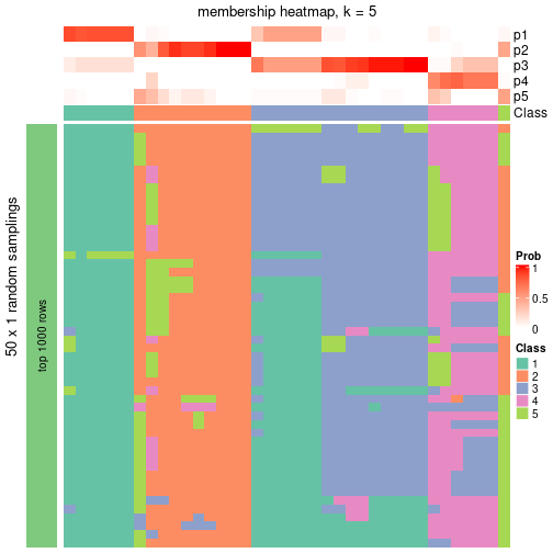 plot of chunk tab-node-043-membership-heatmap-4