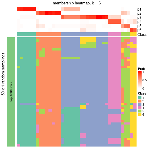 plot of chunk tab-node-043-membership-heatmap-5