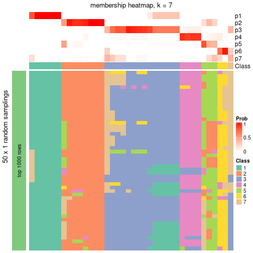 plot of chunk tab-node-043-membership-heatmap-6