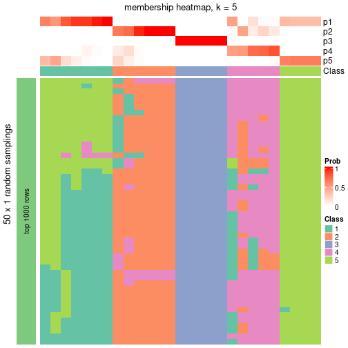 plot of chunk tab-node-0431-membership-heatmap-4