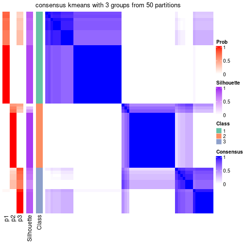 plot of chunk tab-node-05-consensus-heatmap-2