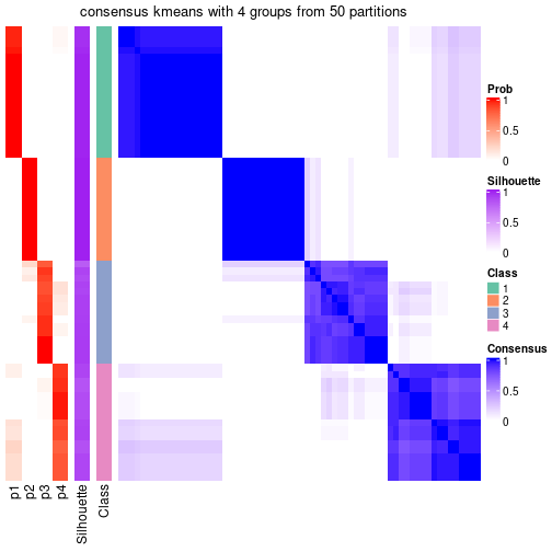 plot of chunk tab-node-05-consensus-heatmap-3