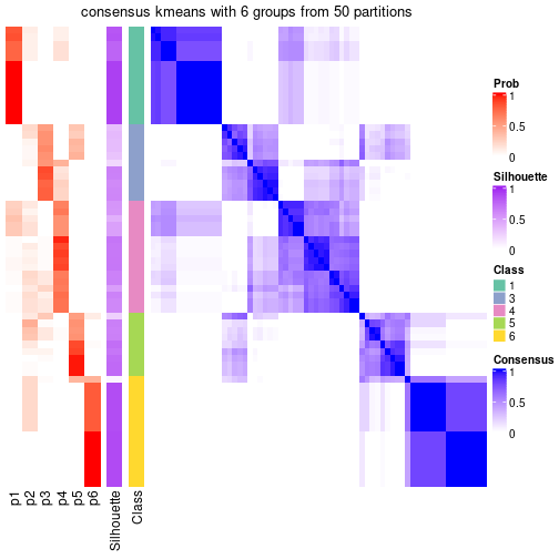 plot of chunk tab-node-05-consensus-heatmap-5