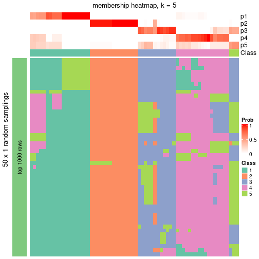 plot of chunk tab-node-05-membership-heatmap-4