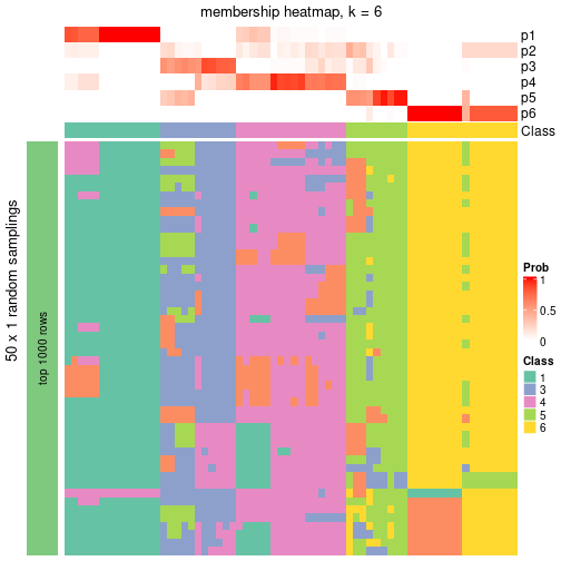 plot of chunk tab-node-05-membership-heatmap-5