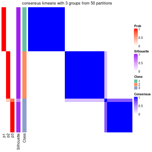 plot of chunk tab-node-051-consensus-heatmap-2