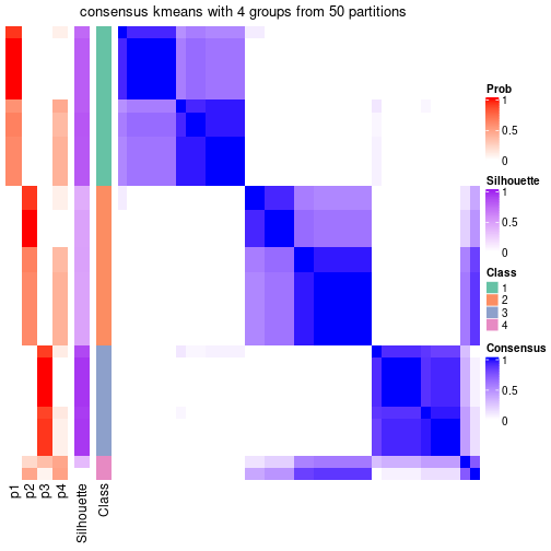 plot of chunk tab-node-051-consensus-heatmap-3