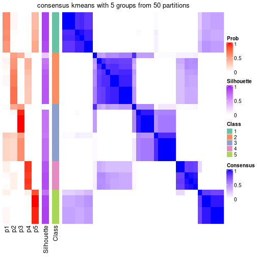 plot of chunk tab-node-051-consensus-heatmap-4