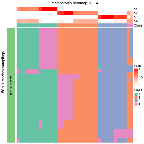 plot of chunk tab-node-051-membership-heatmap-3