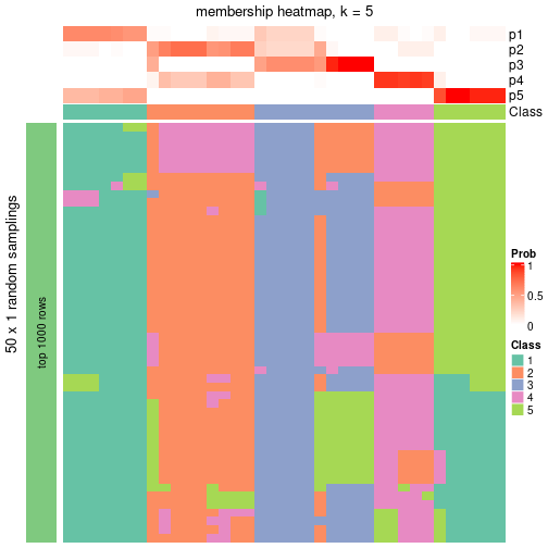 plot of chunk tab-node-051-membership-heatmap-4