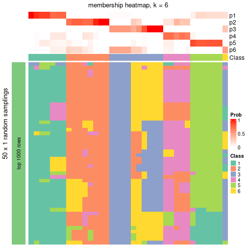 plot of chunk tab-node-051-membership-heatmap-5