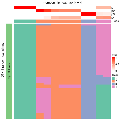 plot of chunk tab-node-0511-membership-heatmap-3