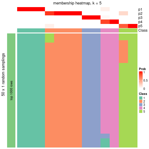 plot of chunk tab-node-0511-membership-heatmap-4