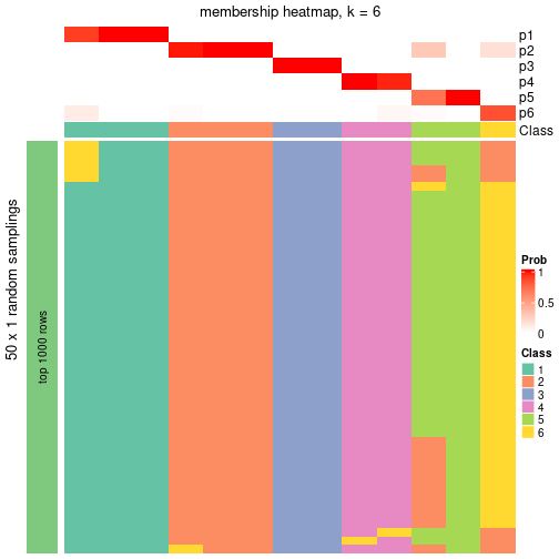 plot of chunk tab-node-0511-membership-heatmap-5