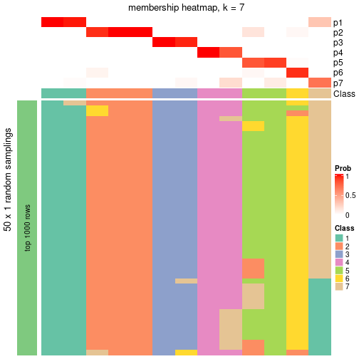 plot of chunk tab-node-0511-membership-heatmap-6