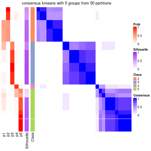 plot of chunk tab-node-052-consensus-heatmap-4