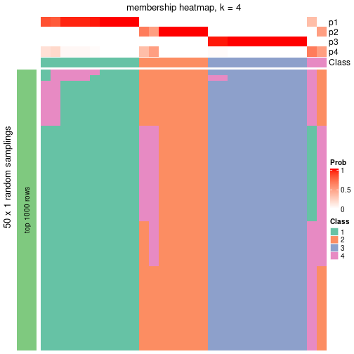 plot of chunk tab-node-052-membership-heatmap-3