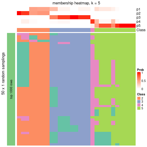 plot of chunk tab-node-052-membership-heatmap-4